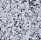 Miyuki 11-250