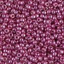 Miyuki 8-4210