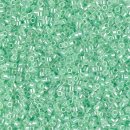 Delicas DB0237 - Crystal Light Green