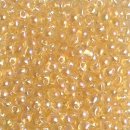 Drops DP251