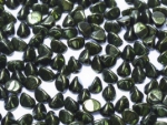 PN009