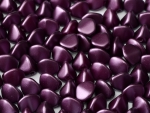 PN021