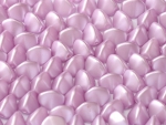 PN042